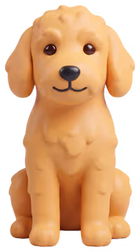 A golden puppy sits facing forward.