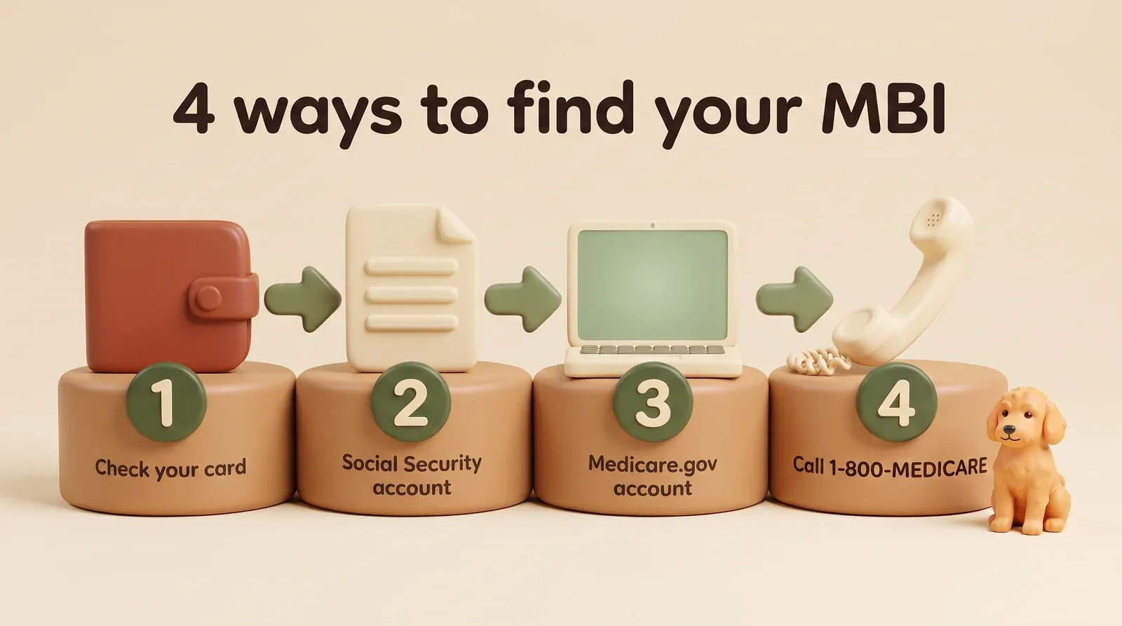 Infographic titled "4 ways to find your MBI." Step 1, a wallet: "Check your card." Step 2, a letter: "Social Security account." Step 3, a laptop: "Medicare.gov account." Step 4, a telephone handset: "Call 1-800-MEDICARE." A small golden puppy sits beside step 4.